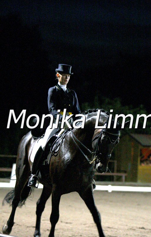 009L3588_Don Vito_Dressur S Kuer.JPG